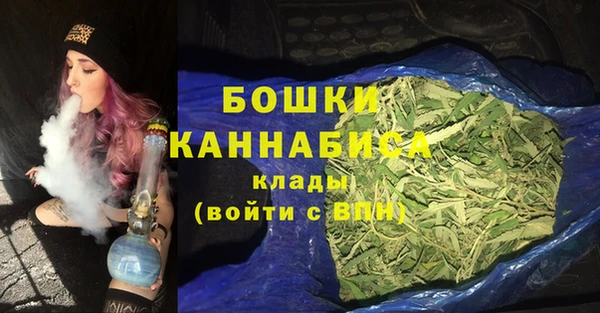 эйфоретик Покачи