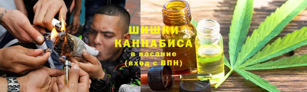 эйфоретик Покачи