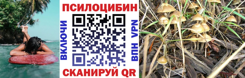 Галлюциногенные грибы MAGIC MUSHROOMS Шахунья